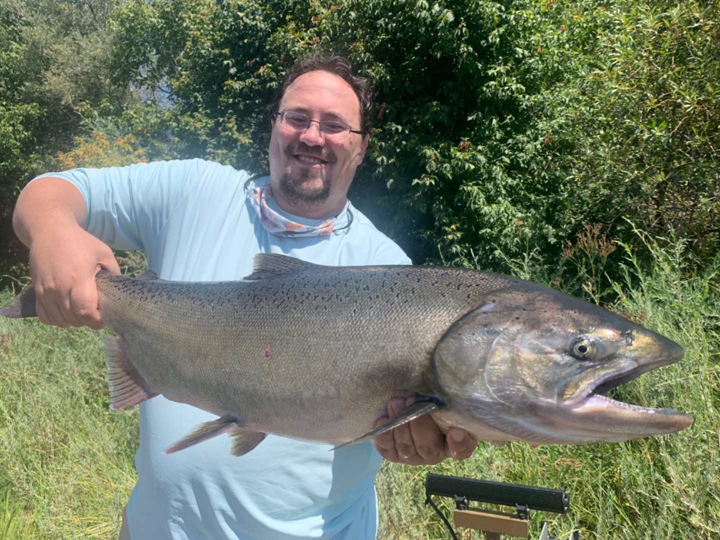 King Salmon Fishing on the Sacramento River
