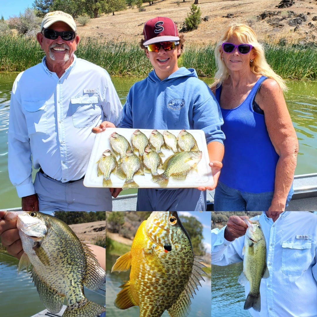 Irongate Panfish O Plenty