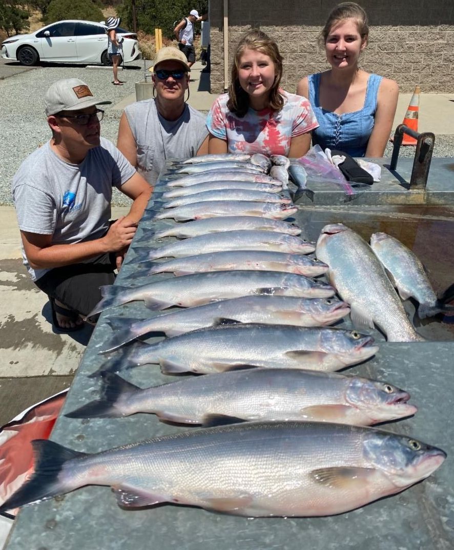 New Melones Reservoir Fish Report New Melones Reservoir New Melones