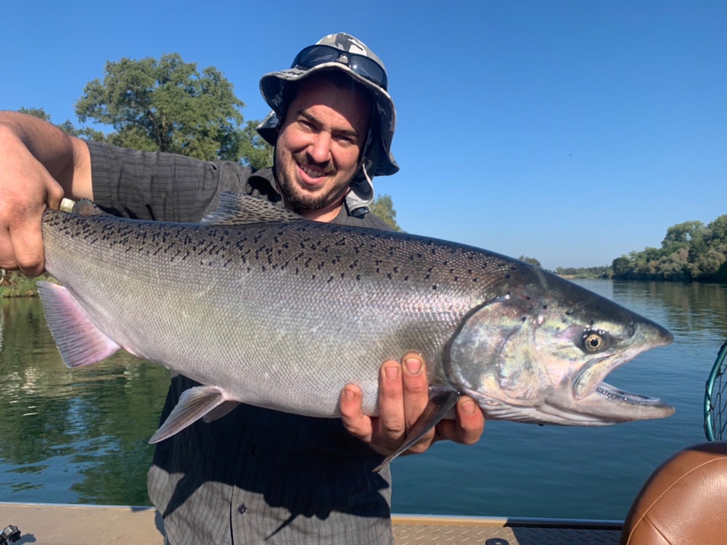 King Salmon Sacramento River