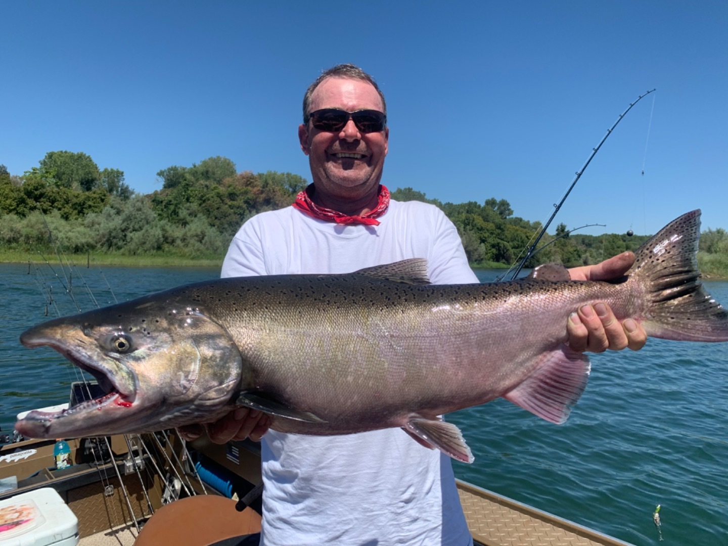 King Salmon fishing on the Sacramento River