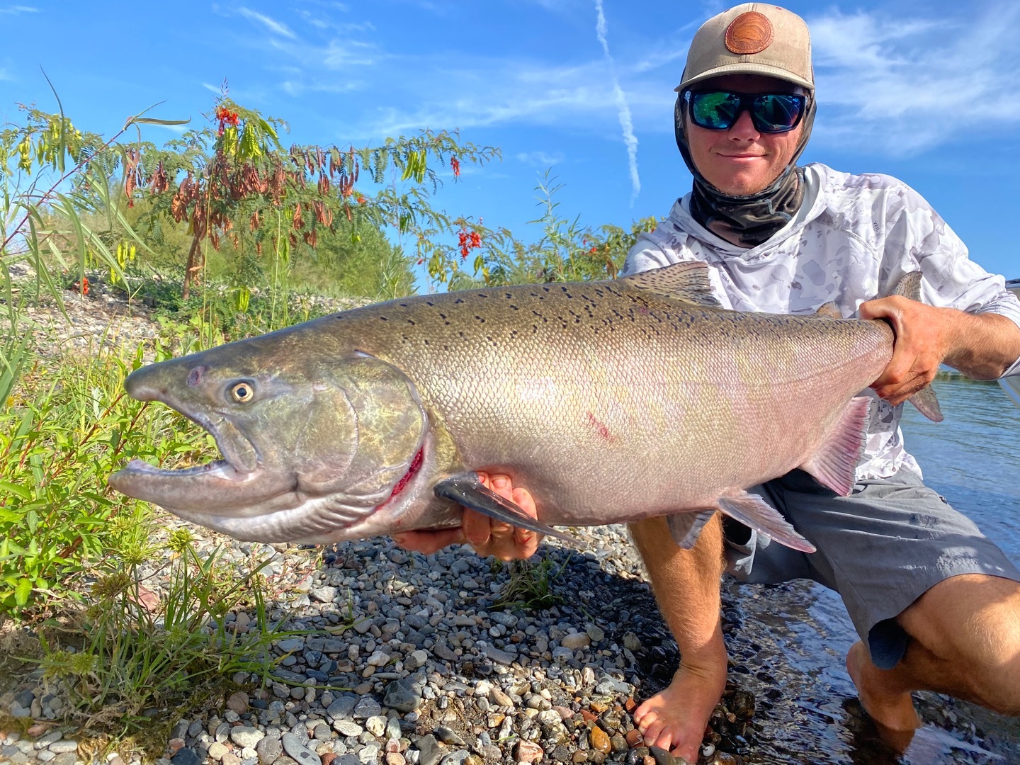 Sacramento River Fishing Report For: Trophy Striped Bass And Late