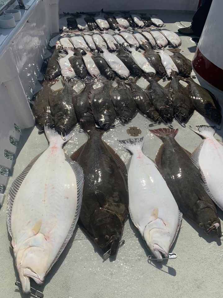 More Wonderful Halibut Fishing 