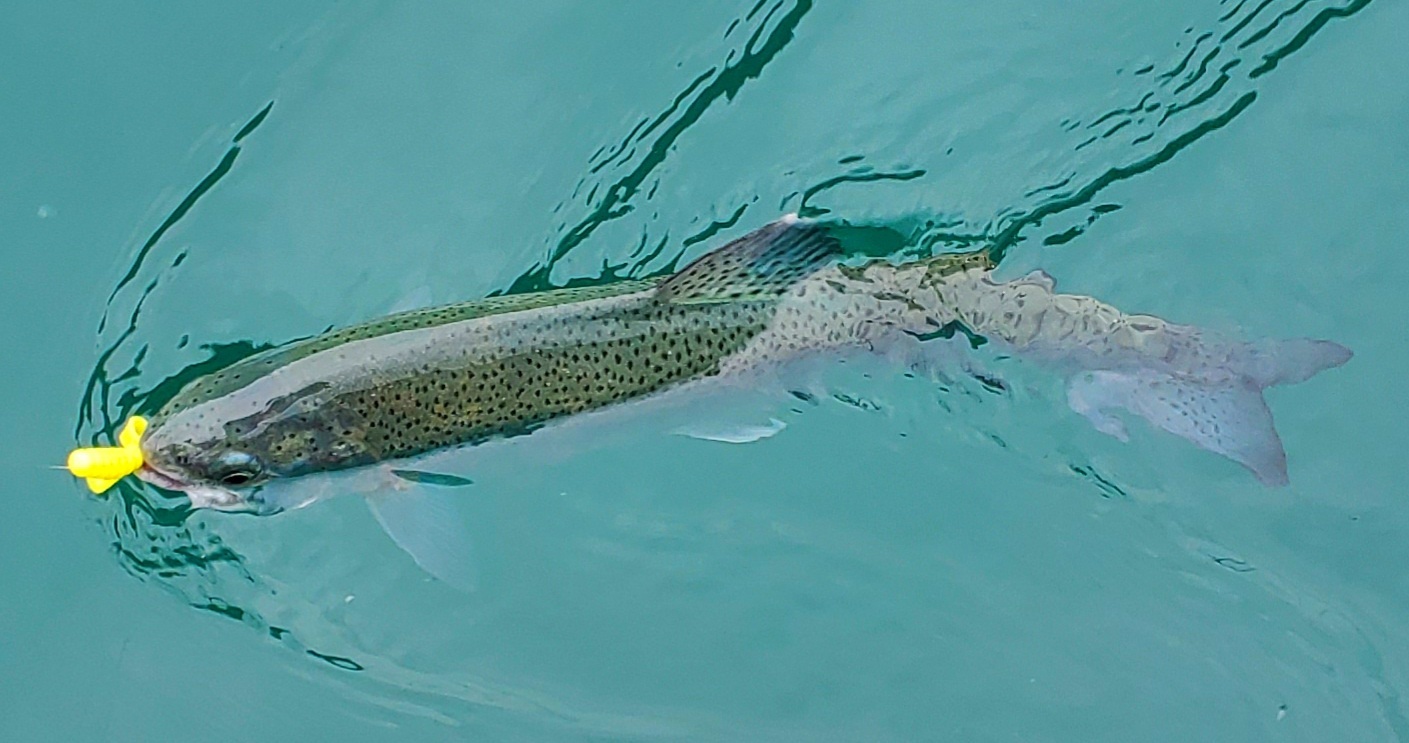 In the Zone - McCloud Reservoir 