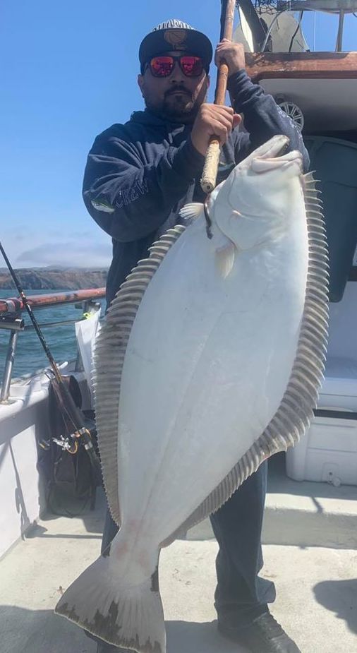 Fished Along the Marin Coast Today