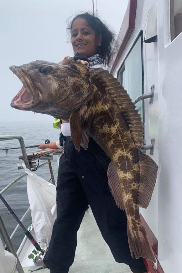 Limits of Lingcod & Rockfish Today