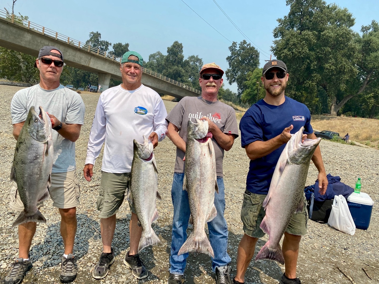 Sac River salmon swim into Corning!