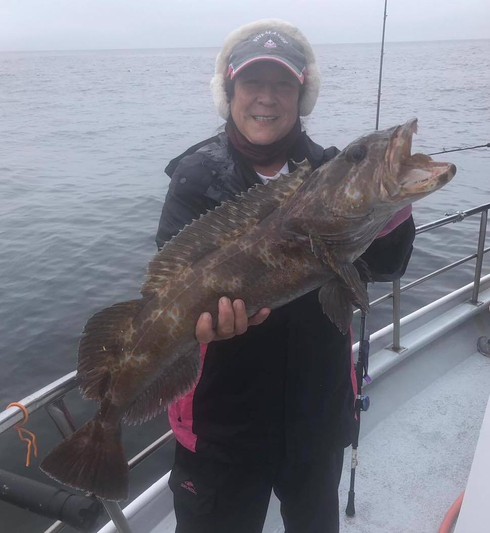 30 Lingcod up to 16 Pounds