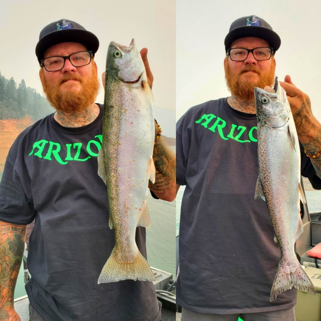 Salmon and Trout action - Shasta Lake