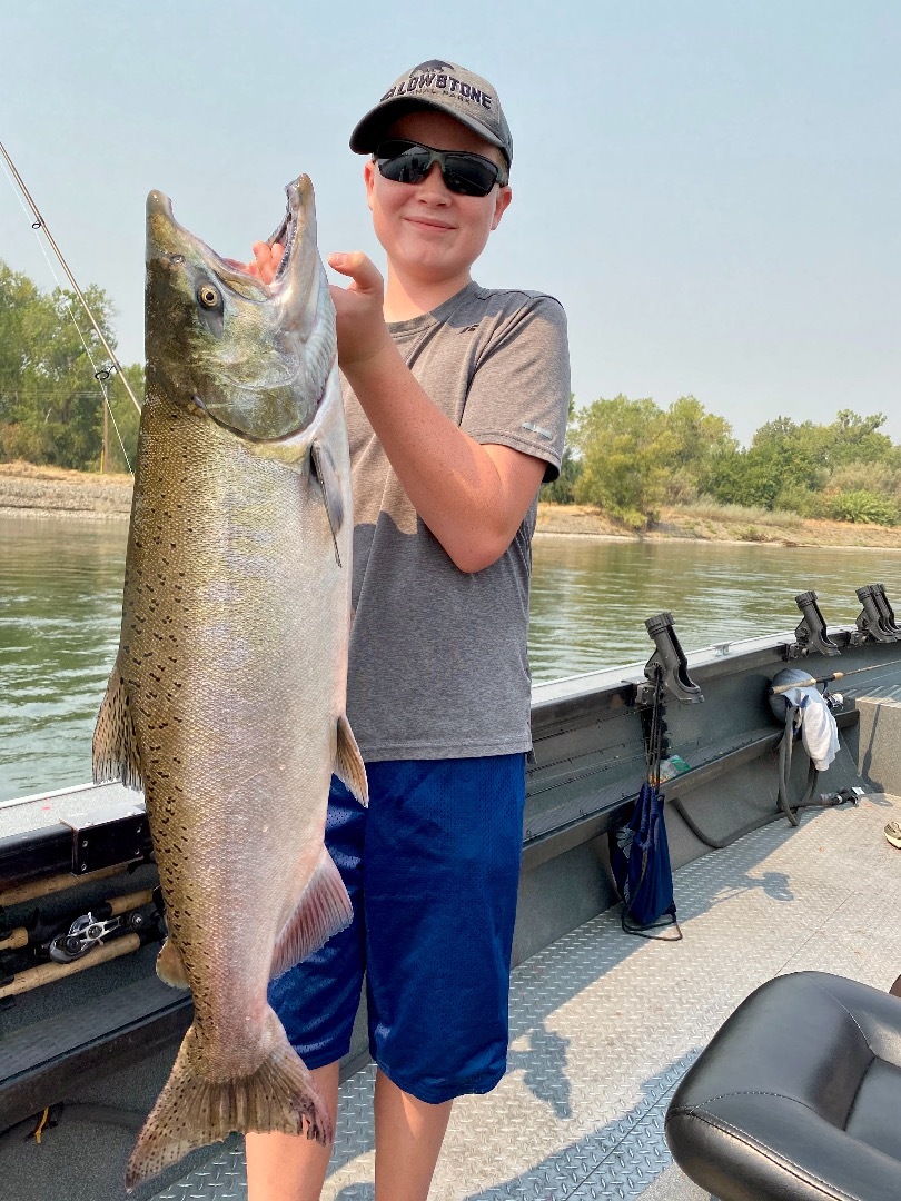 Corning salmon still trickling in