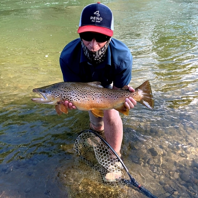 Truckee River Fly Set - Summer