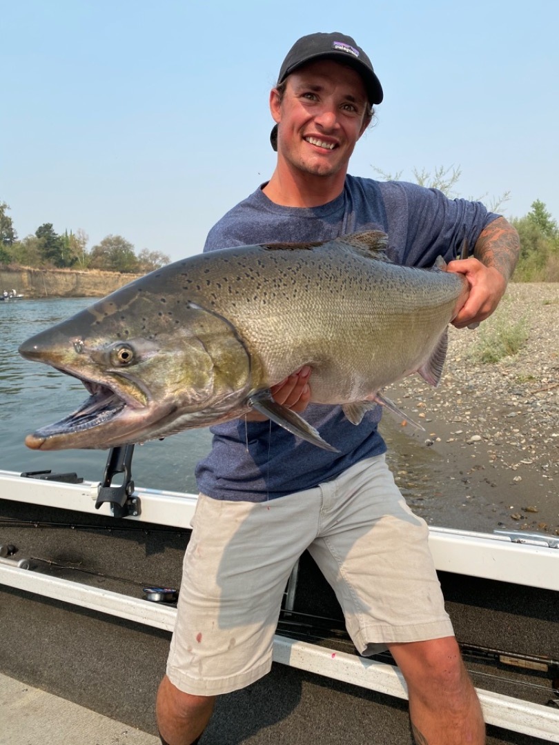 King Salmon Sacramento River