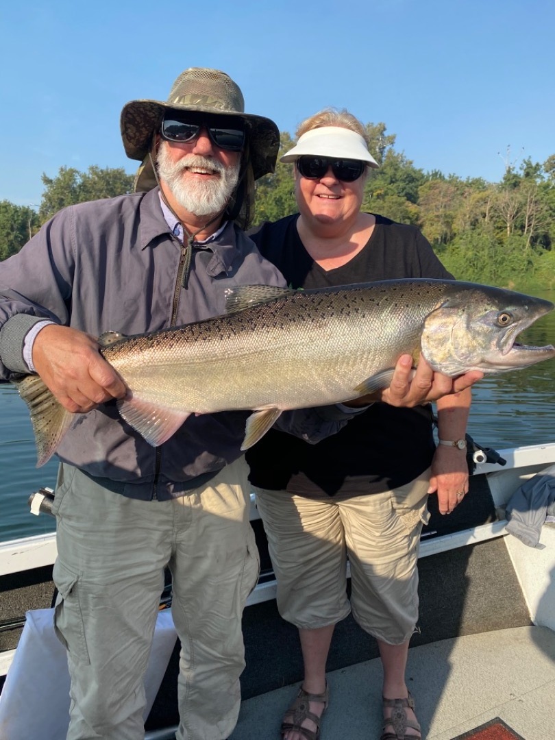 King Salmon Fishing in Corning Calf