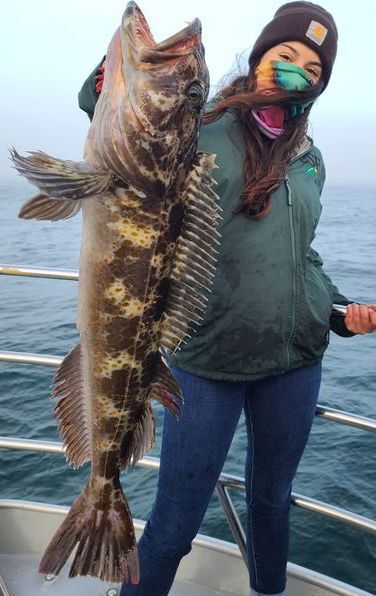 Lingcod on The Bite This Morning 