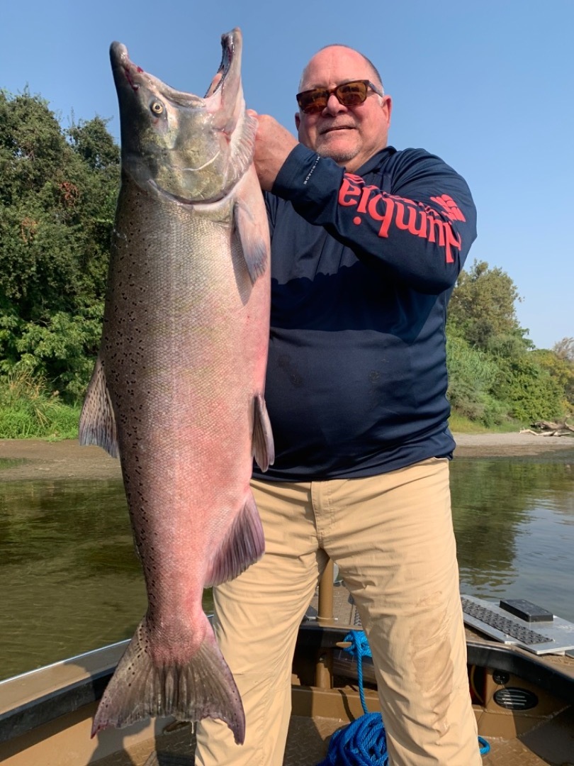 Big King salmon Corning Woodson 
