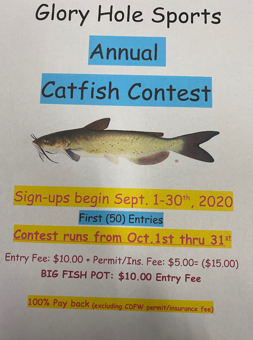 Annual Catfish Contest