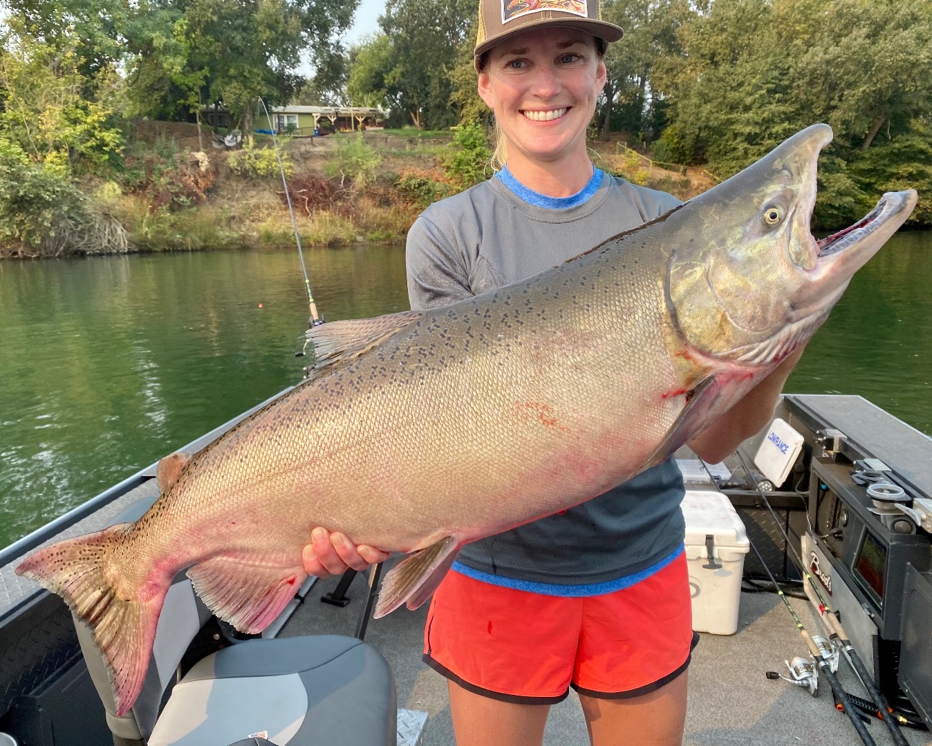 Sacramento River - Red Bluff Fish Report - Red Bluff, CA (Tehama County)