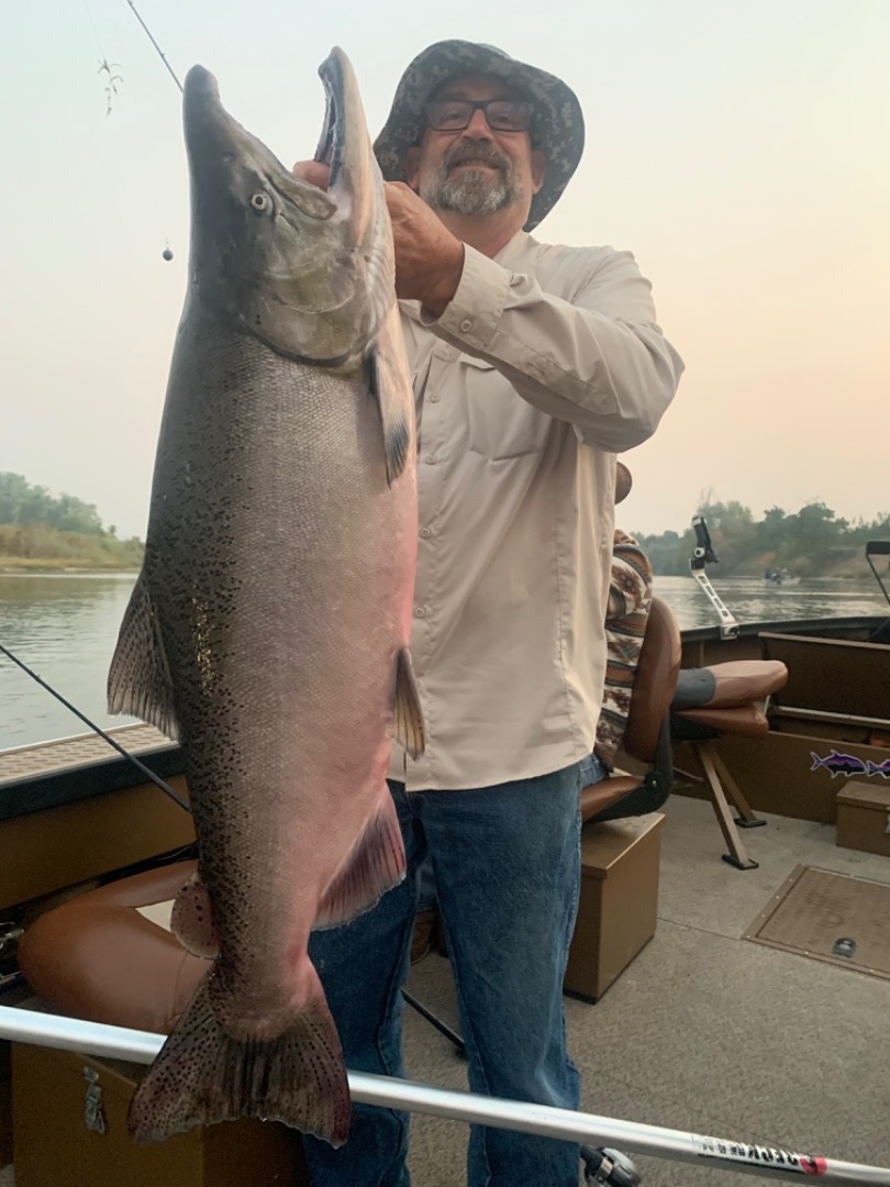 Salmon Corning California 