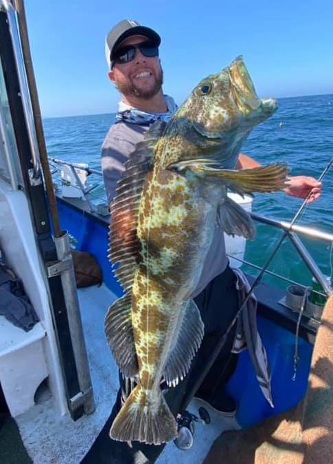 Lingcod & Rockfish Limits