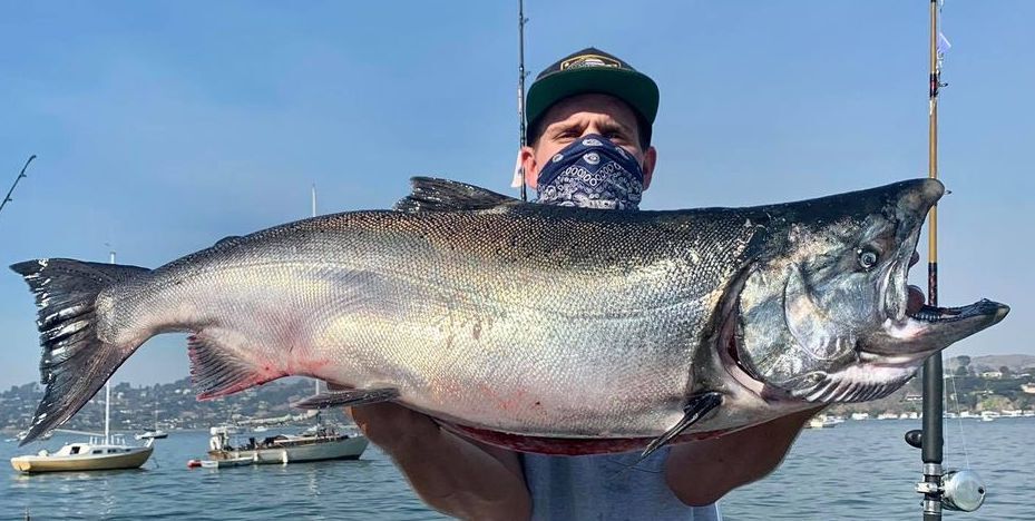 Big Fish Weighed in At 37 Pounds!