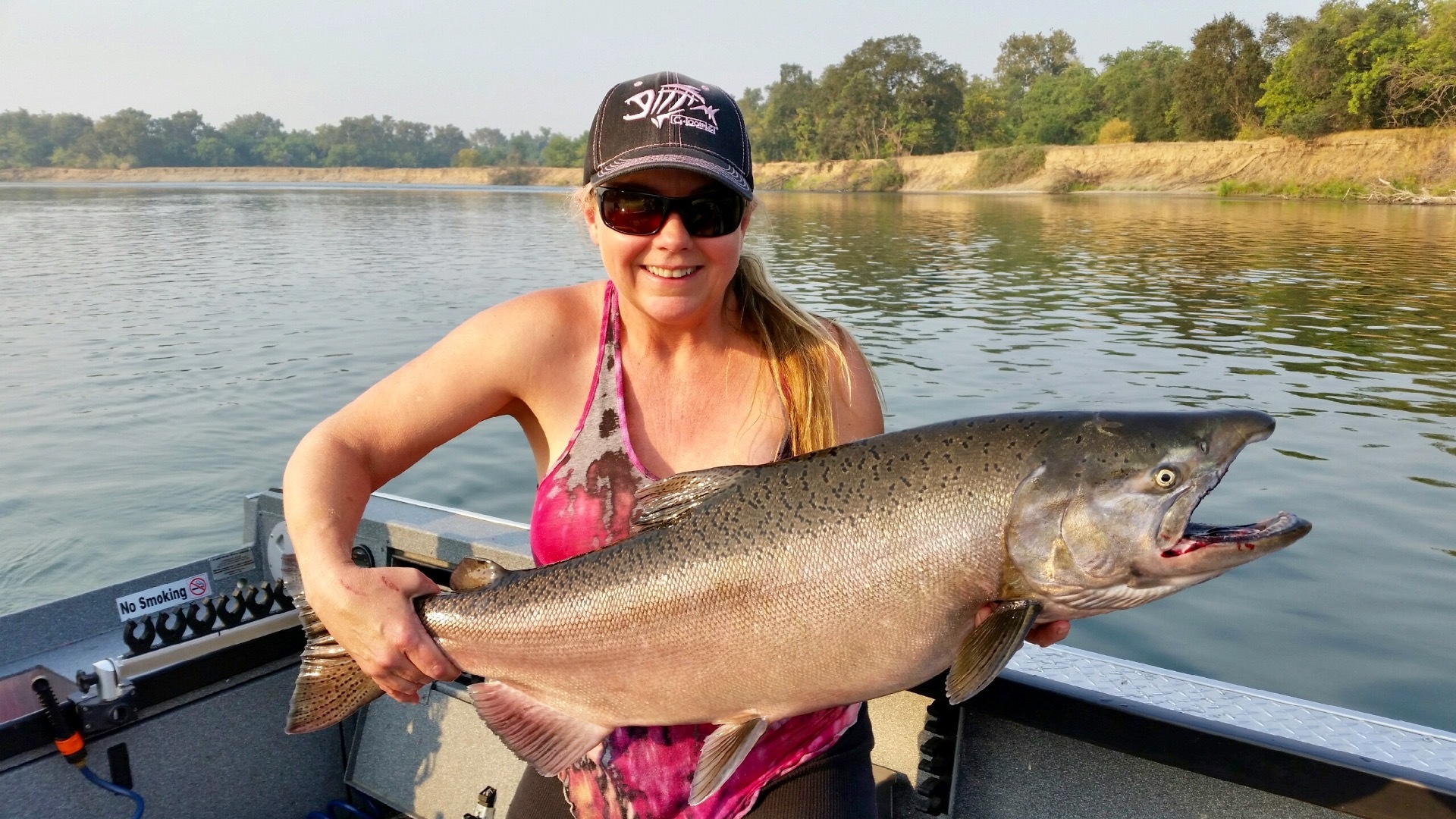 Salmon numbers still building on the Sac!
