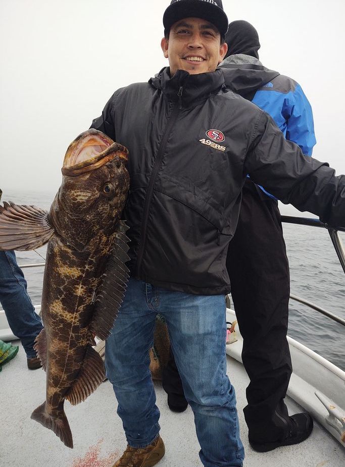 Lingcod Limits up to 31lbs. 
