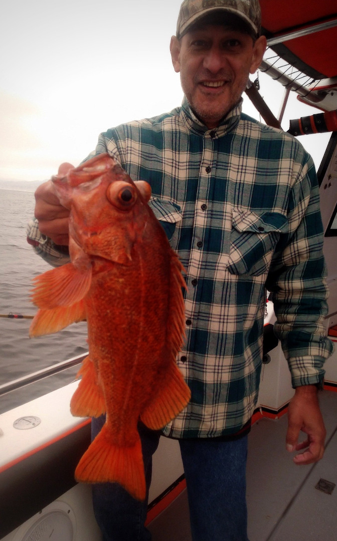 Fishing Has Been Productive Throughout Monterey Bay
