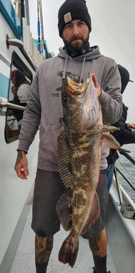Lingcod Limits up to 20 Lbs. 