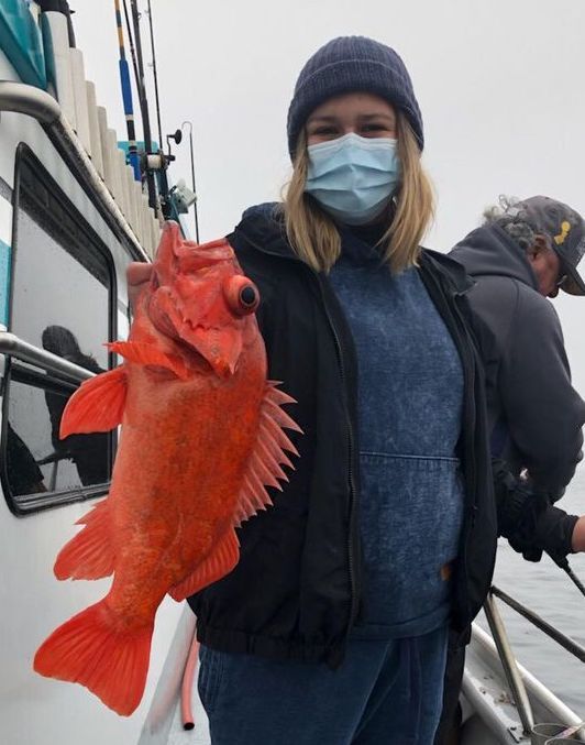 Limits of Lingcod & Rockfish