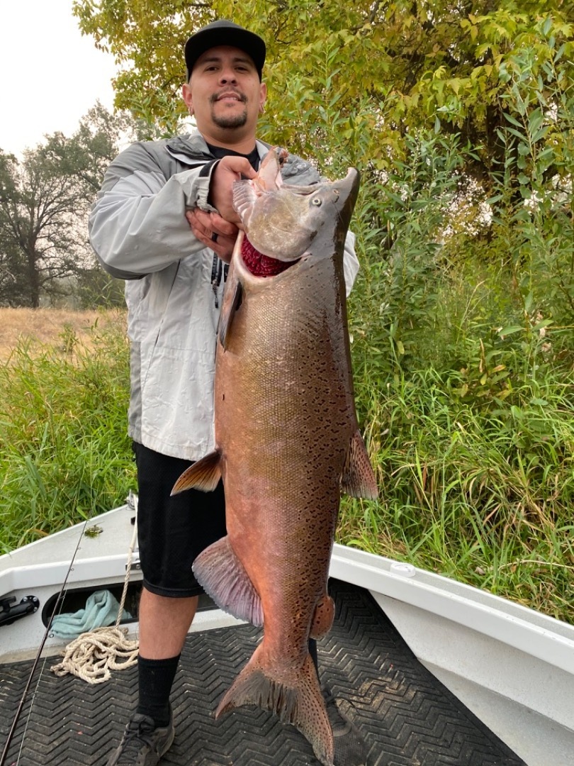 Big Chinooks Are Coming 