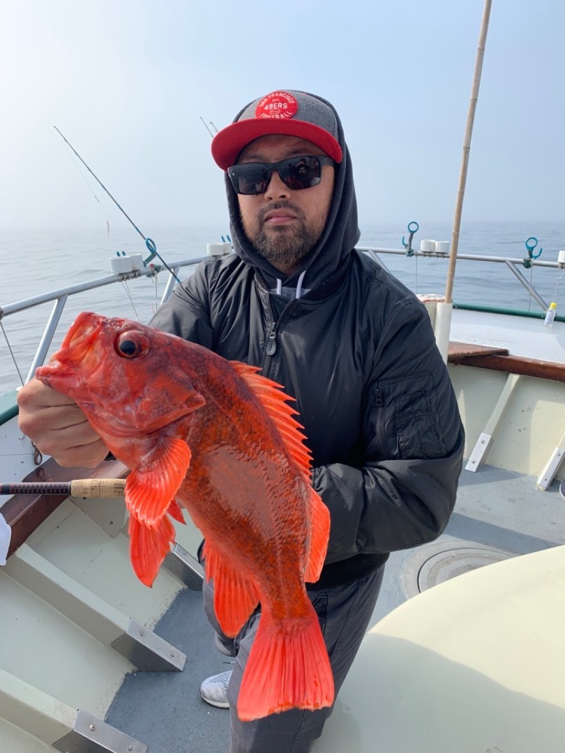 Limits of assorted rockfish!