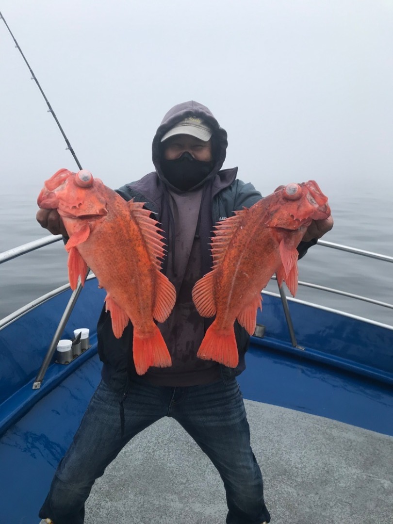 9/20/2020 big rockfish and a sprinkle of lings