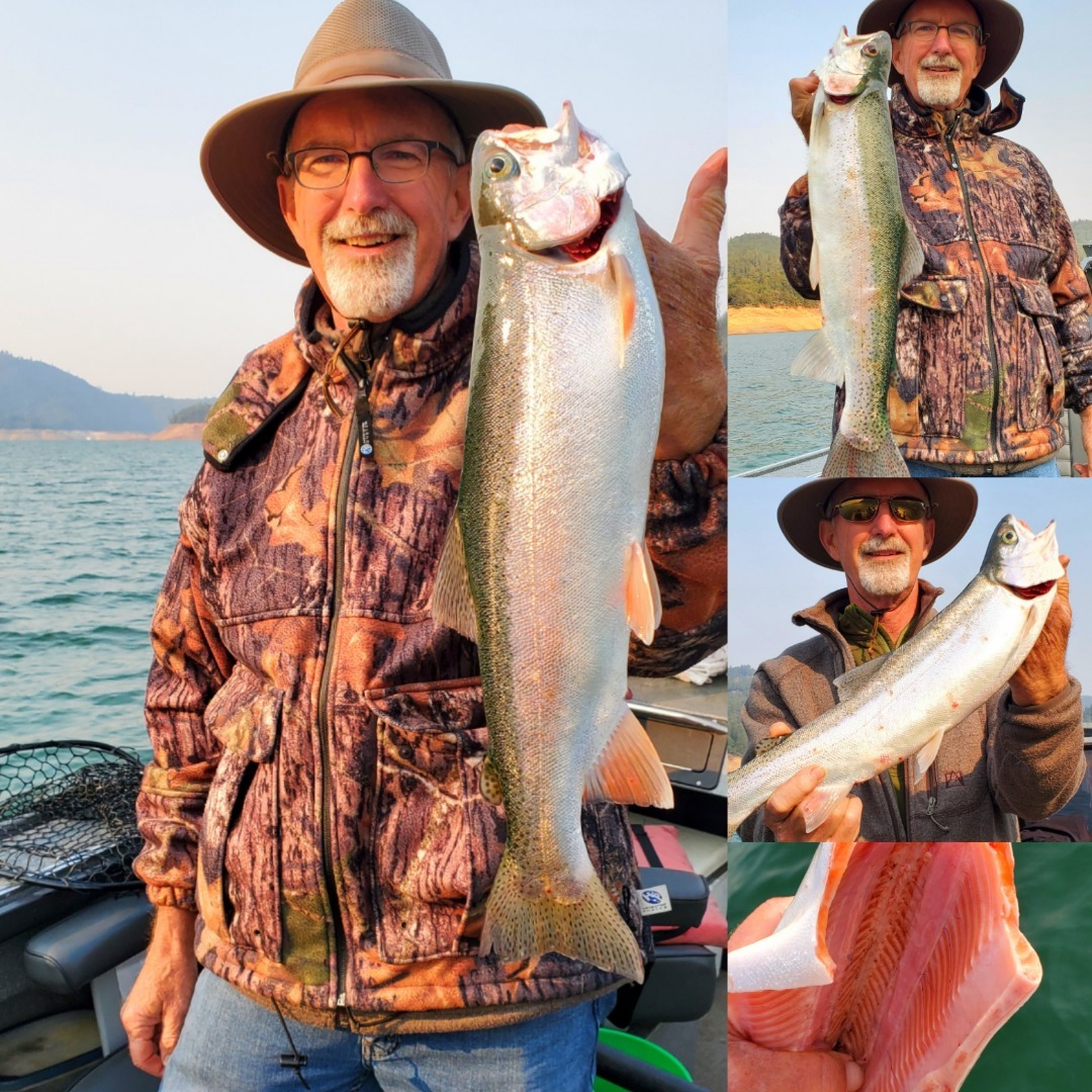 Shasta Lake Rainbows on the bite