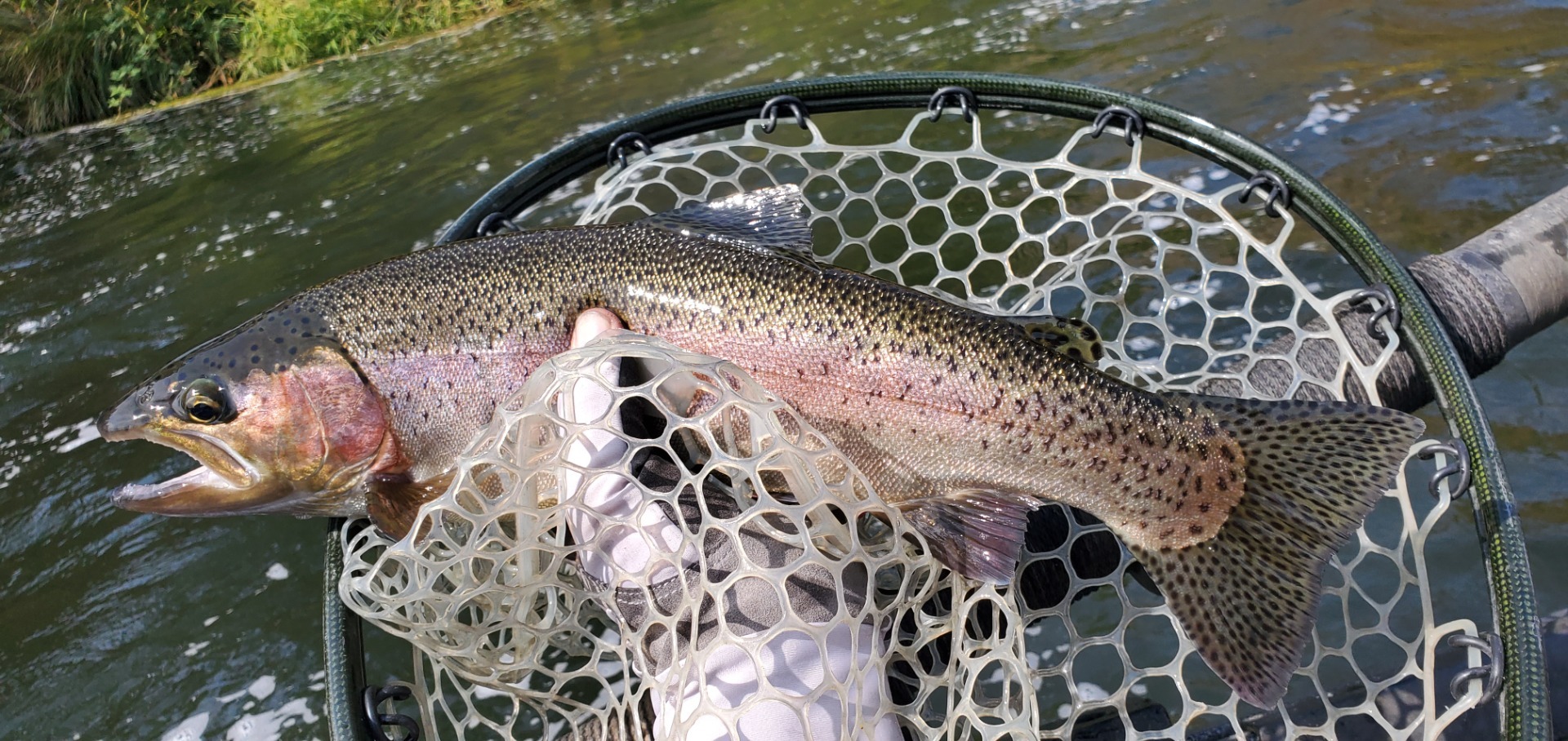 Klamath River fishing off to a  great start