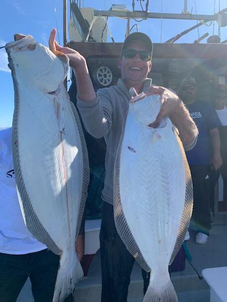 More Solid Halibut Action