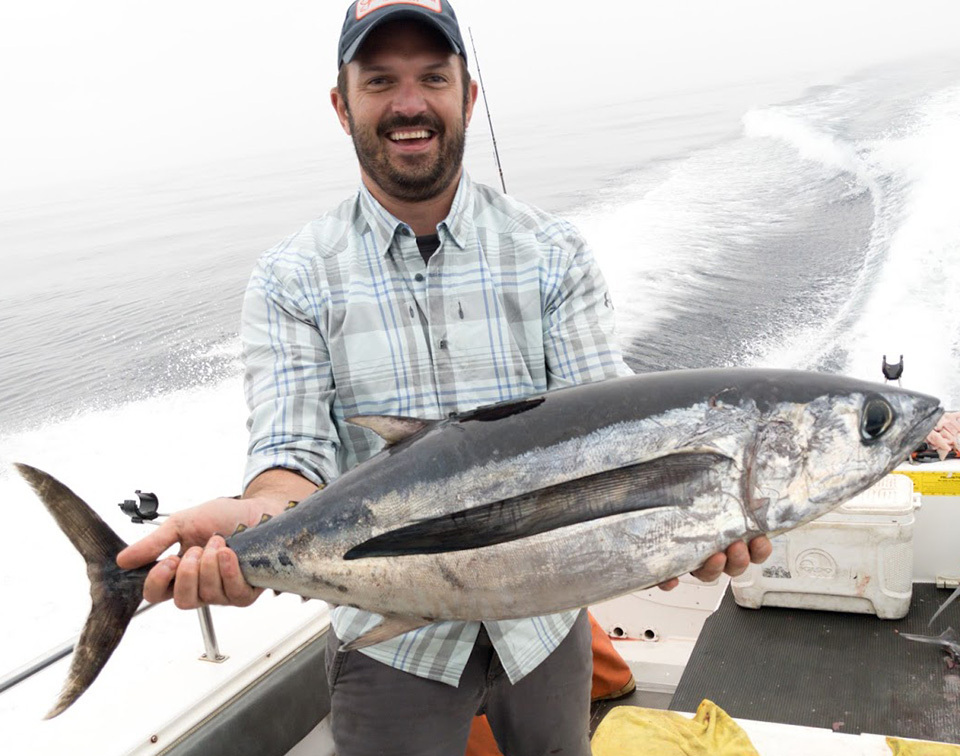 Eureka Tuna Bite Grinds to a Halt