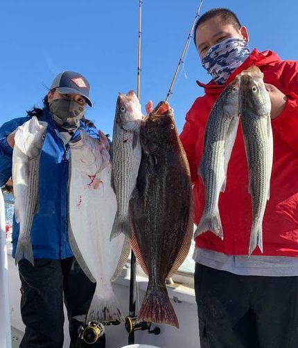 Striped Bass & Halibut Action Today