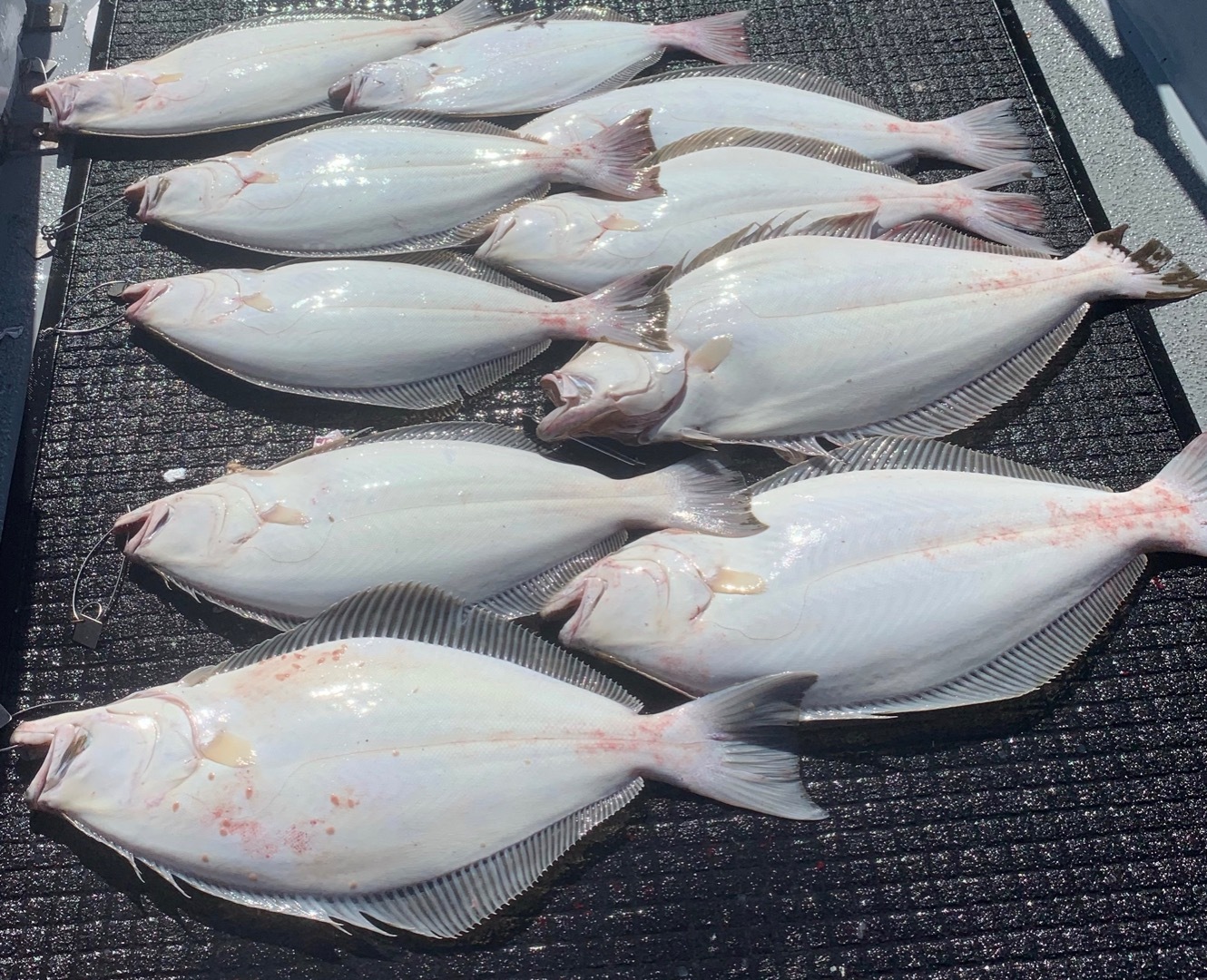 Great day on the Bay !! 😎🐟🎣