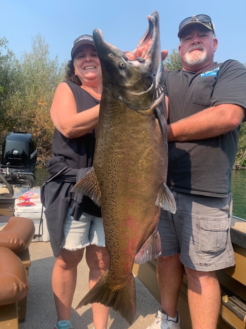 Sacramento River King Salmon