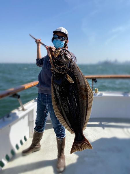 Solid Halibut Fishing Today