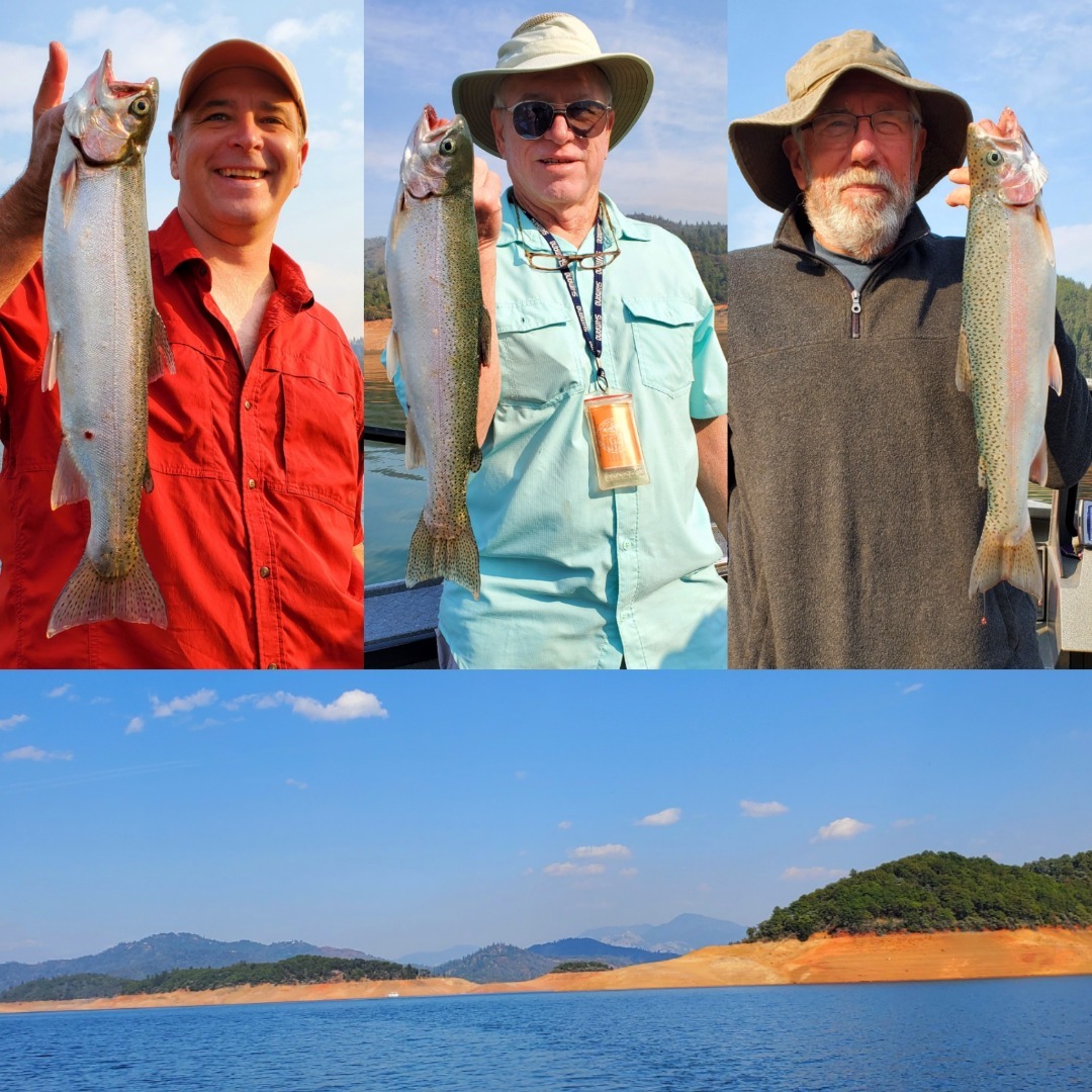 Shasta Lake bows deep morning bite