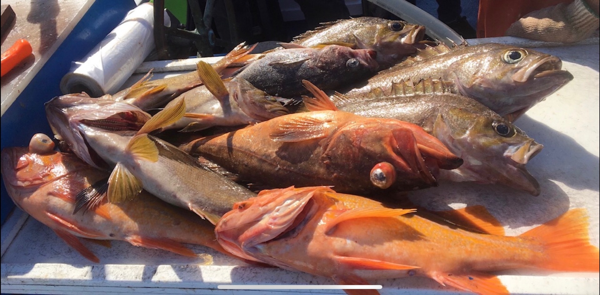 Deep reef rock fishing. 