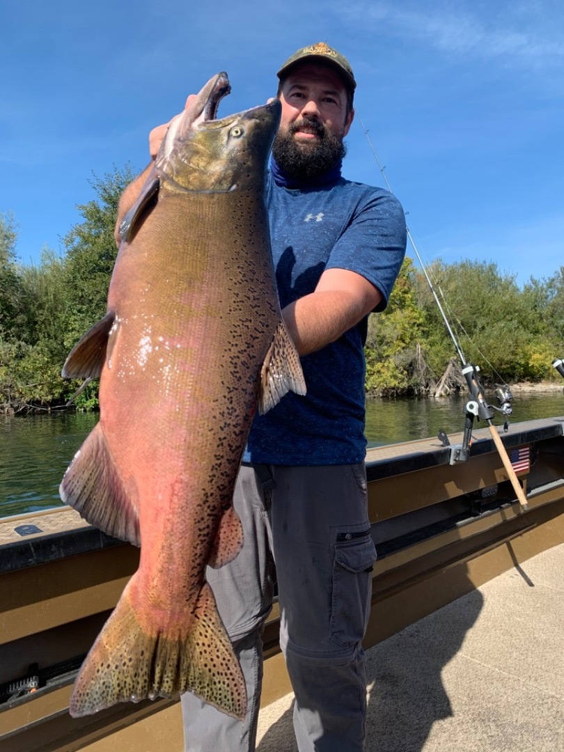 Big Buck King Salmon