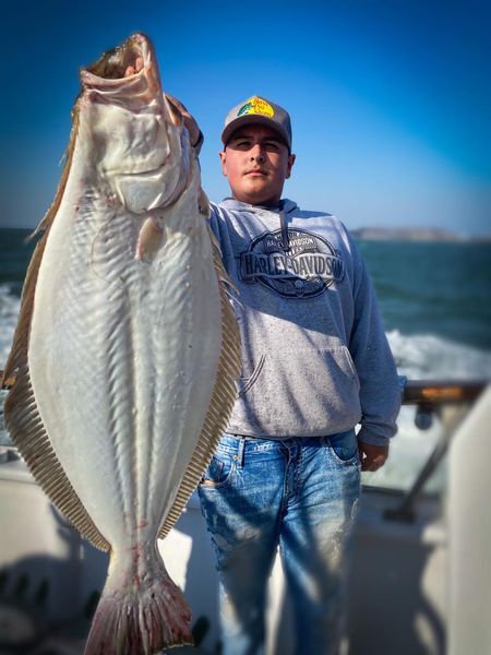 Halibut in The Bay