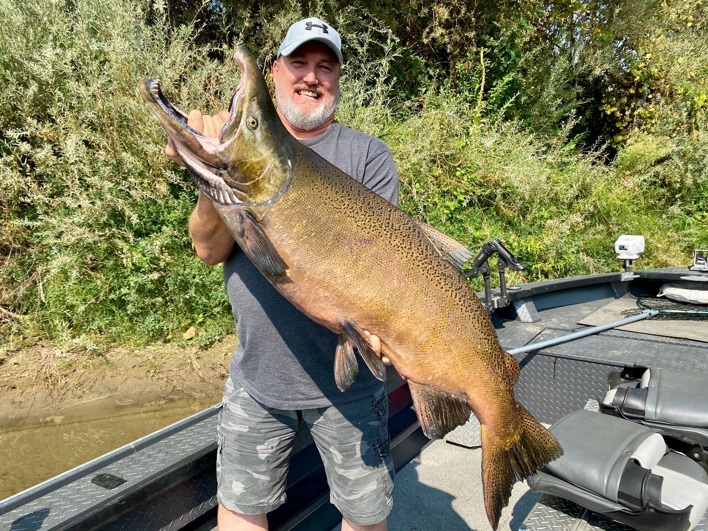 Northern California Fishing Report For, Sacramento River Salmon