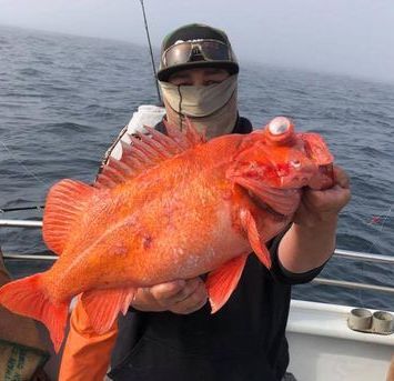 Amazing Rockfish Bite Today