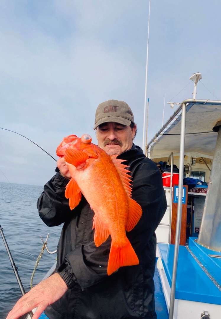 Flat calm Rock Fishing 