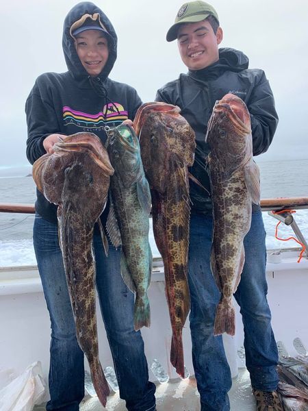 Limits of Rockfish & Lingcod Last 2 Trips