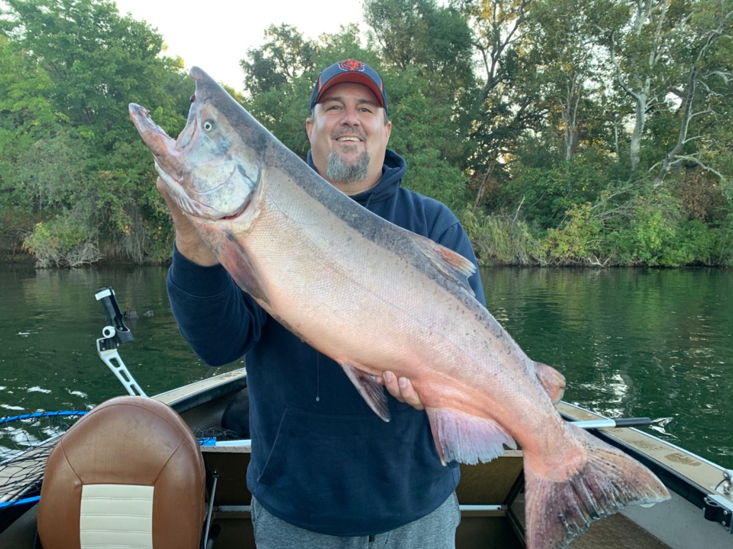 Big King Salmon