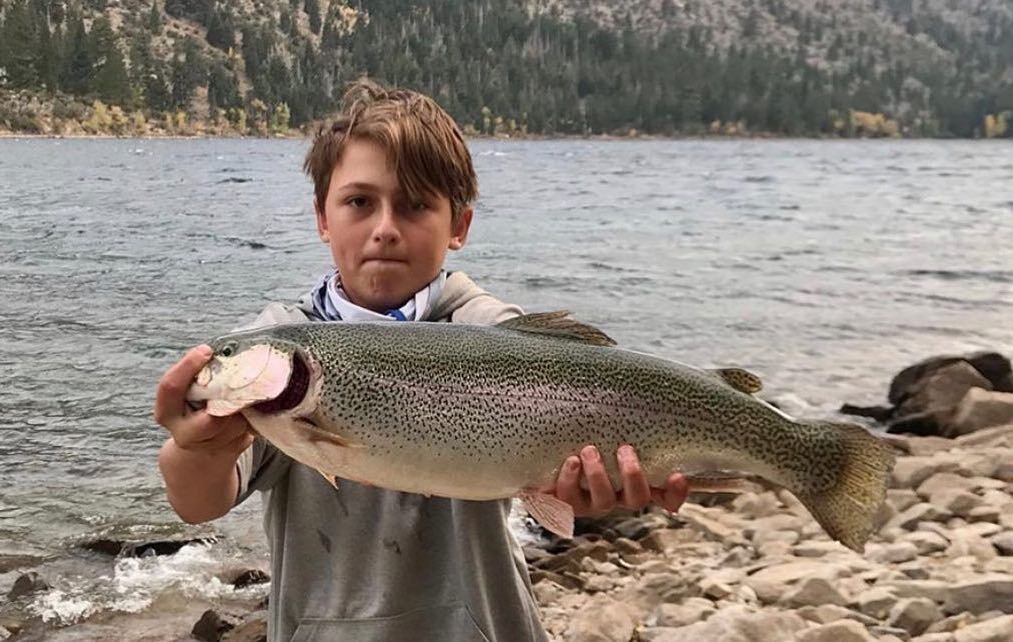 Twin Lake Lower Fish Report - Bridgeport, CA (Mono County)